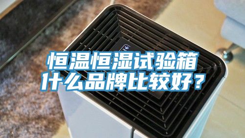 恒溫恒濕試驗箱什麽品牌比較好？