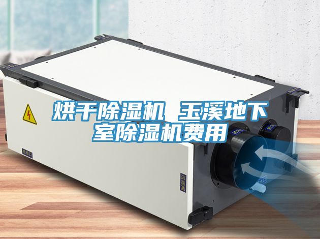 烘幹91看片网站 玉溪地下室91看片网站費用