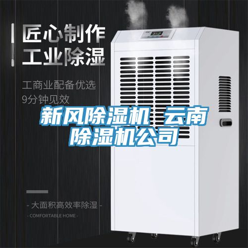 新風91看片网站 雲南91看片网站公司