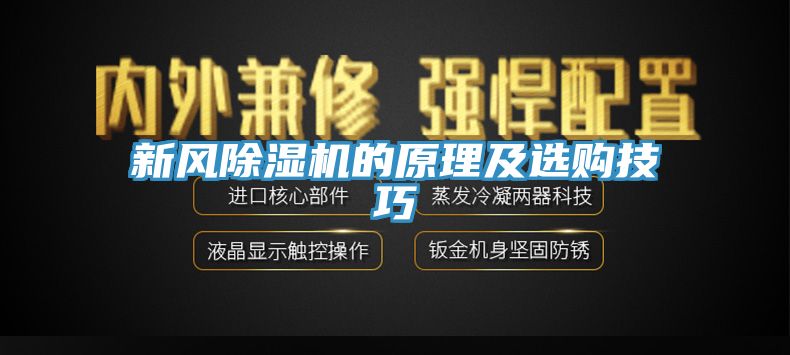 新風91看片网站的原理及選購技巧