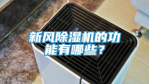 新風91看片网站的功能有哪些？