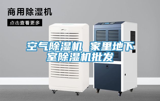 空氣91看片网站 家裏地下室91看片网站批發