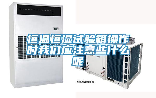 恒溫恒濕試驗箱操作時91看片免费下载應注意些什麽呢