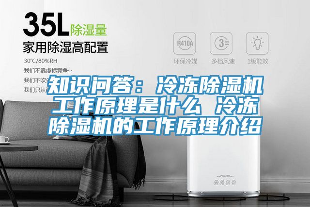 知識問答：冷凍91看片网站工作原理是什麽 冷凍91看片网站的工作原理介紹