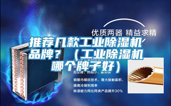 推薦幾款工業91看片网站品牌？（工業91看片网站哪個牌子好）
