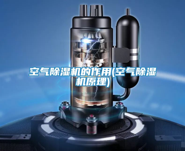 空氣91看片网站的作用(空氣91看片网站原理)