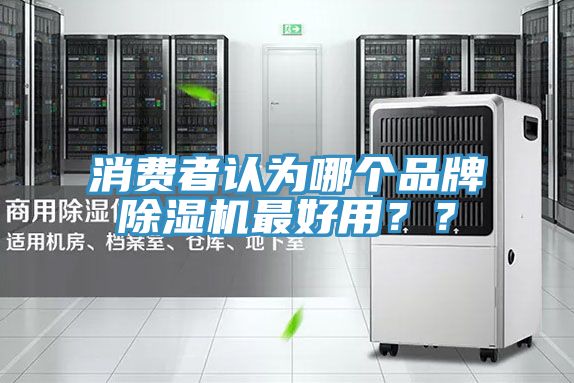 消費者認為哪個品牌91看片网站最好用？？