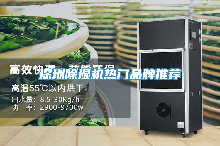 深圳91看片网站熱門品牌推薦