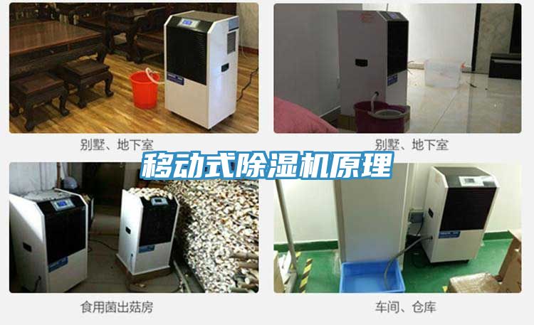 移動式91看片网站原理