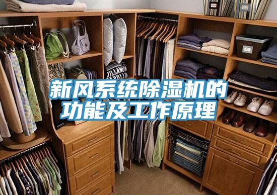 新風係統91看片网站的功能及工作原理