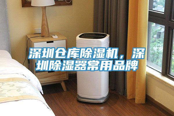 深圳倉庫91看片网站，深圳除濕器常用品牌