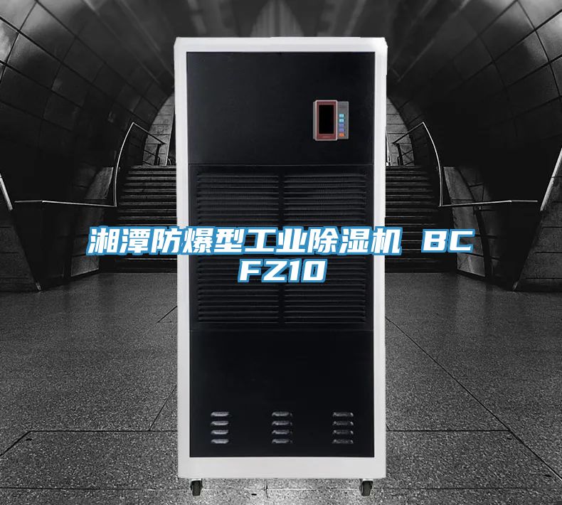 湘潭防爆型工業91看片网站 BCFZ10