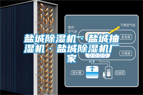 鹽城91看片网站·鹽城抽濕機·鹽城91看片网站廠家