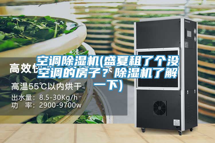 空調91看片网站(盛夏租了個沒空調的房子？91看片网站了解一下)