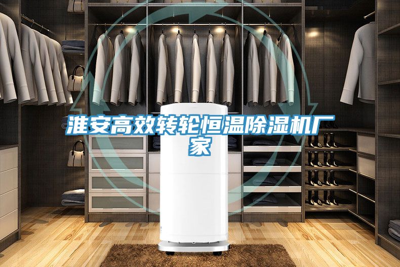 淮安高效轉輪恒溫91看片网站廠家