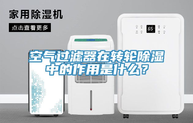空氣過濾器在轉輪除濕中的作用是什麽？
