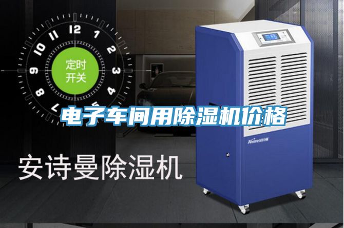 電子車間用91看片网站價格