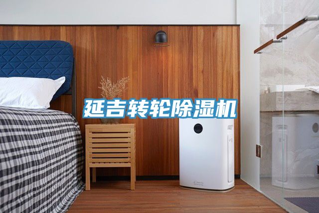 延吉轉輪91看片网站