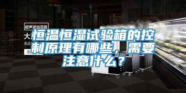恒溫恒濕試驗箱的控製原理有哪些，需要注意什麽？