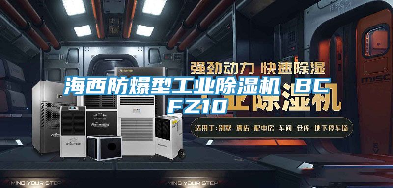 海西防爆型工業91看片网站 BCFZ10