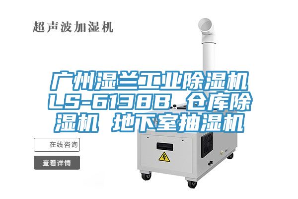 廣州濕蘭工業91看片网站LS-6138B 倉庫91看片网站 地下室抽濕機
