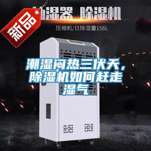 潮濕悶熱三伏天，91看片网站如何趕走濕氣