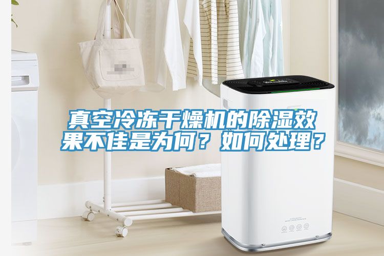 真空冷凍幹燥機的除濕效果不佳是為何？如何處理？