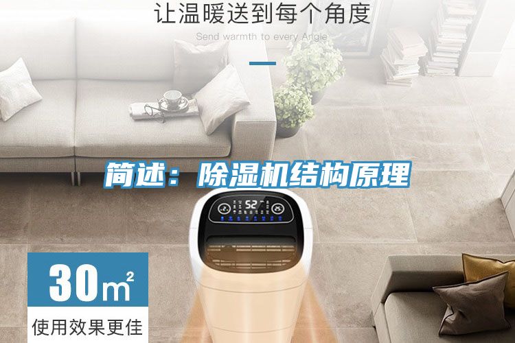簡述：91看片网站結構原理
