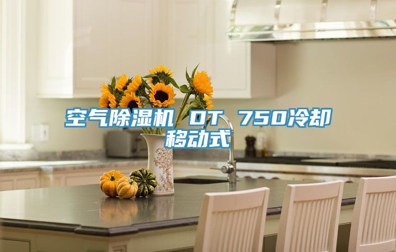 空氣91看片网站 DT 750冷卻移動式