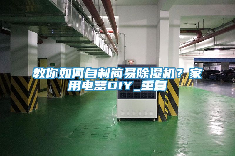 教你如何自製簡易91看片网站？家用電器DIY_重複