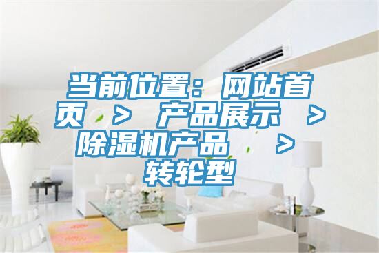 當前位置：網站首頁 ＞ 產品展示 ＞ 91看片网站產品  ＞ 轉輪型