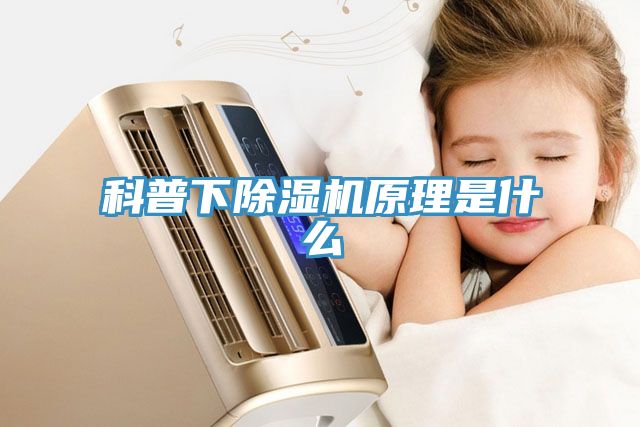 科普下91看片网站原理是什麽