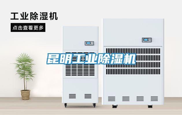 昆明工業91看片网站