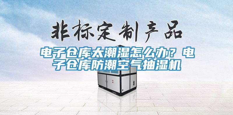 電子倉庫太潮濕怎麽辦？電子倉庫防潮空氣抽濕機