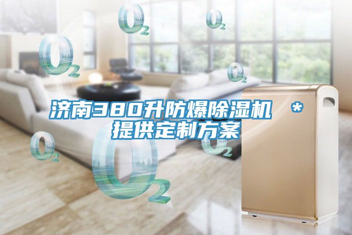 濟南380升防爆91看片网站 ＊提供定製方案