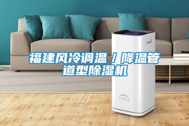 福建風冷調溫／降溫管道型91看片网站