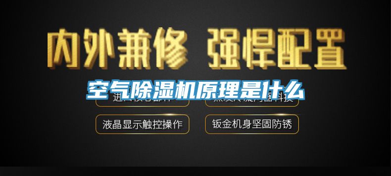 空氣91看片网站原理是什麽