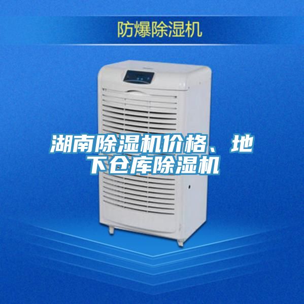 湖南91看片网站價格、地下倉庫91看片网站