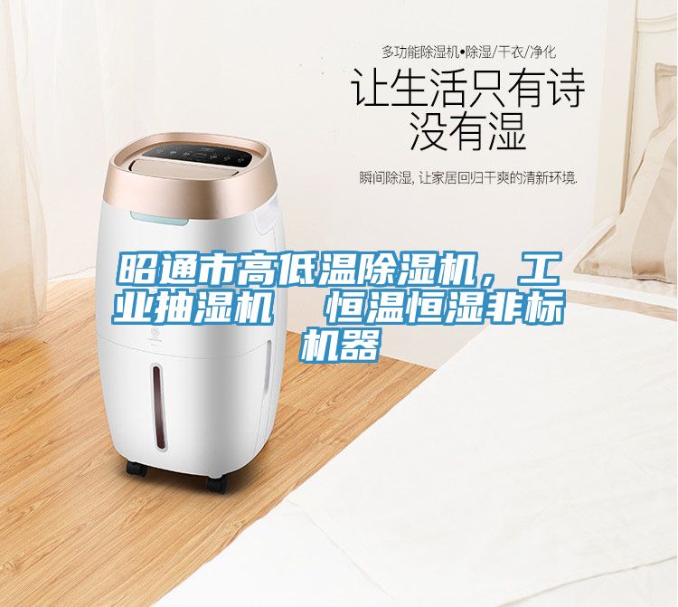 昭通市高低溫91看片网站，工業抽濕機  恒溫恒濕非標機器