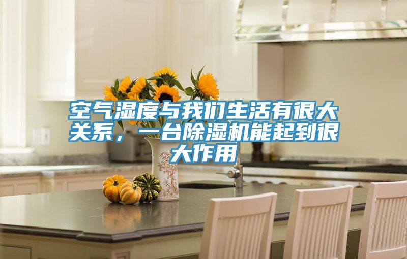 空氣濕度與91看片免费下载生活有很大關係，一台91看片网站能起到很大作用