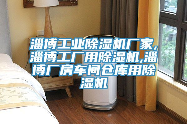 淄博工業91看片网站廠家,淄博工廠用91看片网站,淄博廠房車間倉庫用91看片网站
