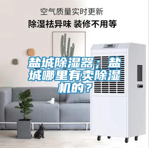 鹽城除濕器；鹽城哪裏有賣91看片网站的？