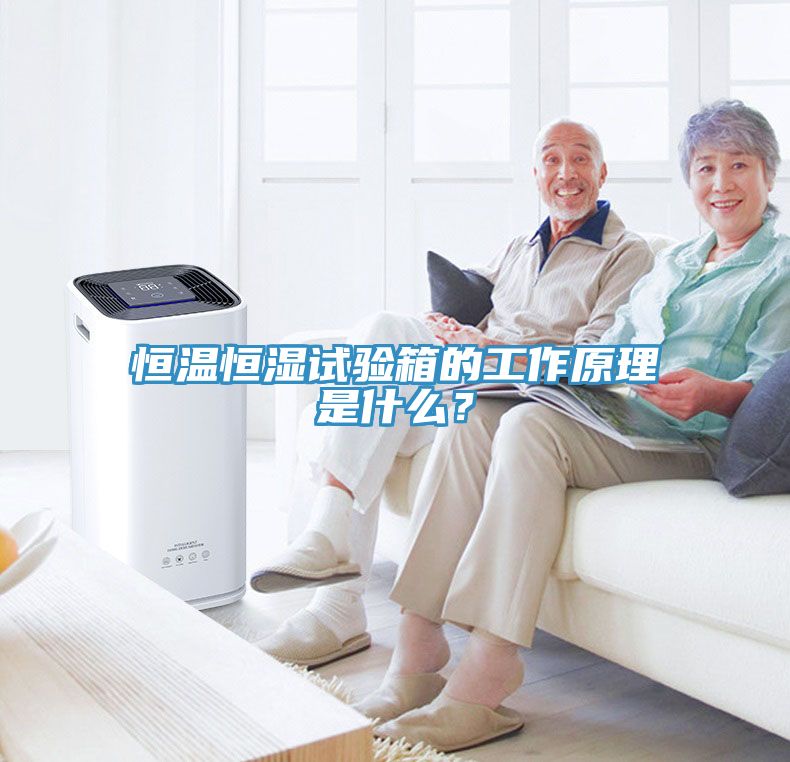 恒溫恒濕試驗箱的工作原理是什麽？