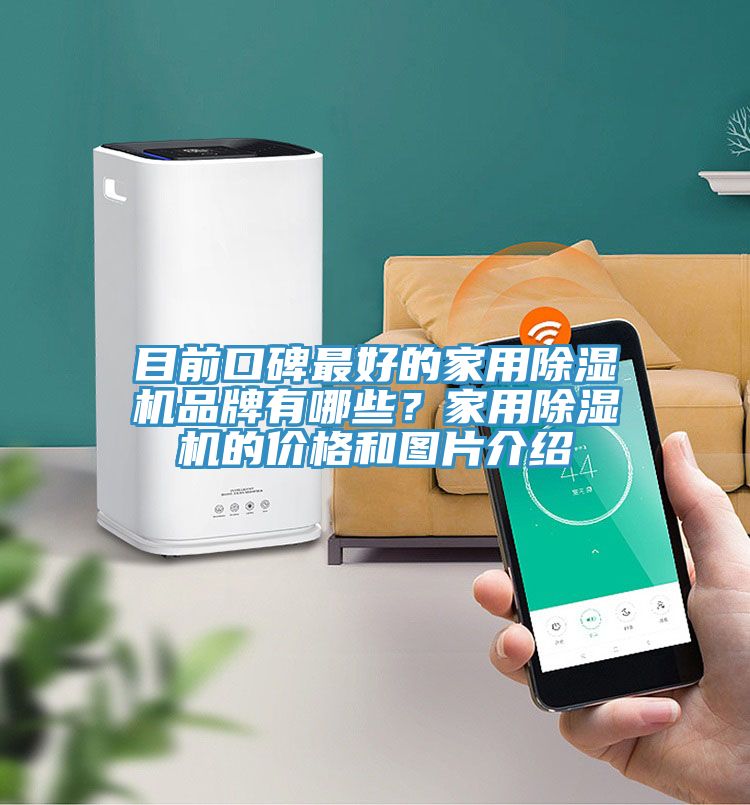 目前口碑最好的家用91看片网站品牌有哪些？家用91看片网站的價格和圖片介紹