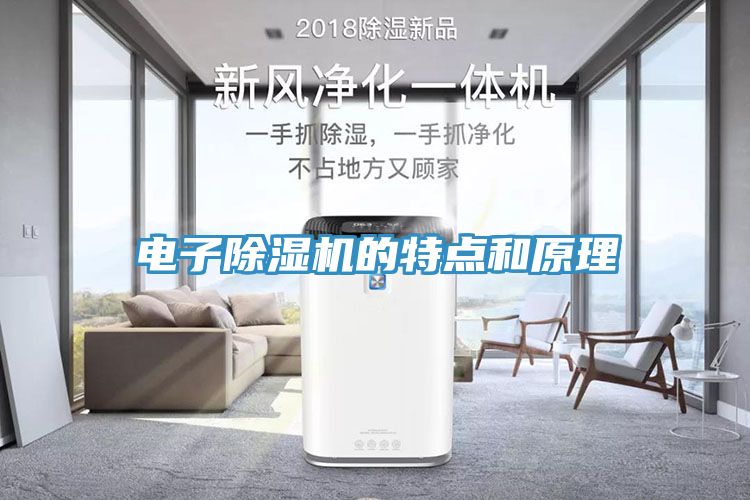 電子91看片网站的特點和原理