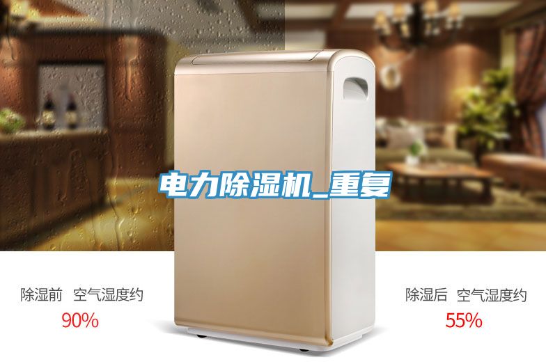 電力91看片网站_重複