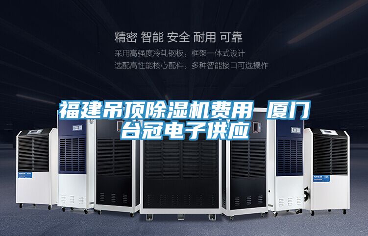 福建吊頂91看片网站費用 廈門台冠電子供應