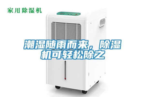 潮濕隨雨而來，91看片网站可輕鬆除之