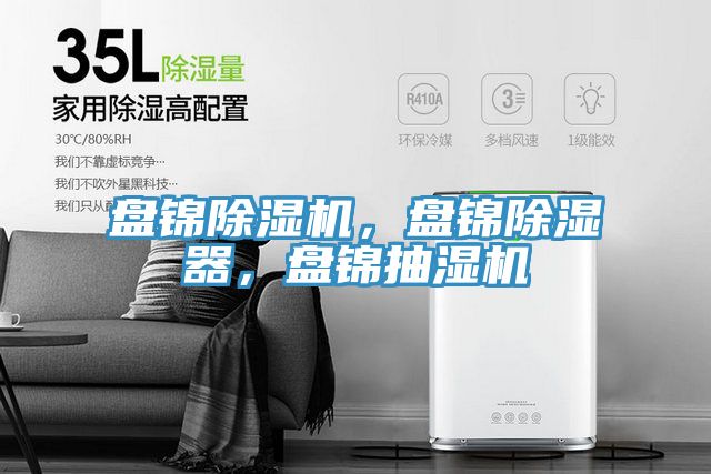 盤錦91看片网站，盤錦除濕器，盤錦抽濕機