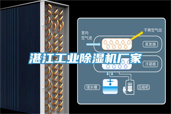 湛江工業91看片网站廠家
